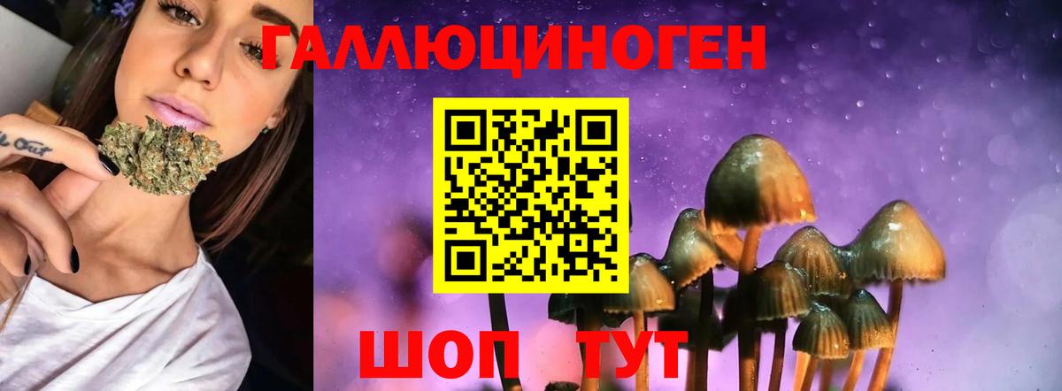 как найти закладки  Псилоцибиновые грибы мухоморы  Вход с VPN  Георгиевск 